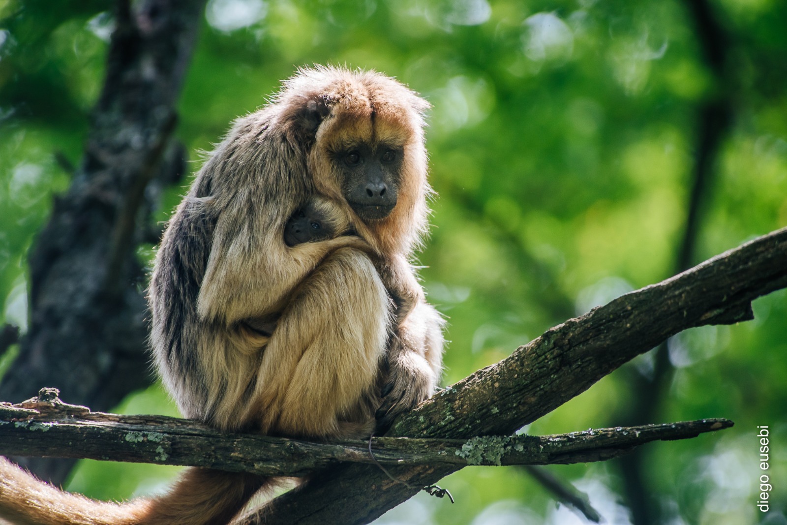 IMG 20230127 WA0083 IMG 20230127 WA0083