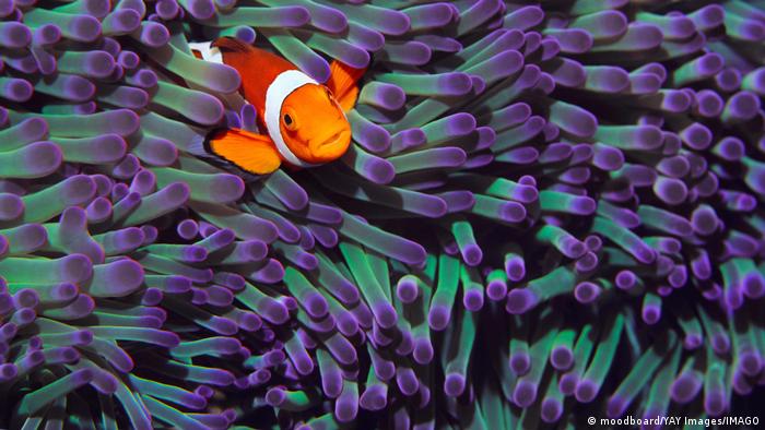 63061571_303 63061571_303