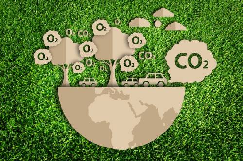 arboles carbono emisiones arboles carbono emisiones
