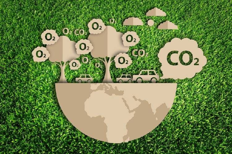 arboles carbono emisiones arboles carbono emisiones