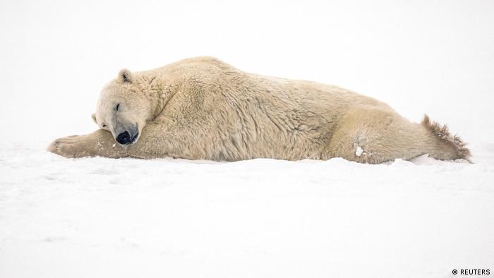 61746727_303 61746727_303