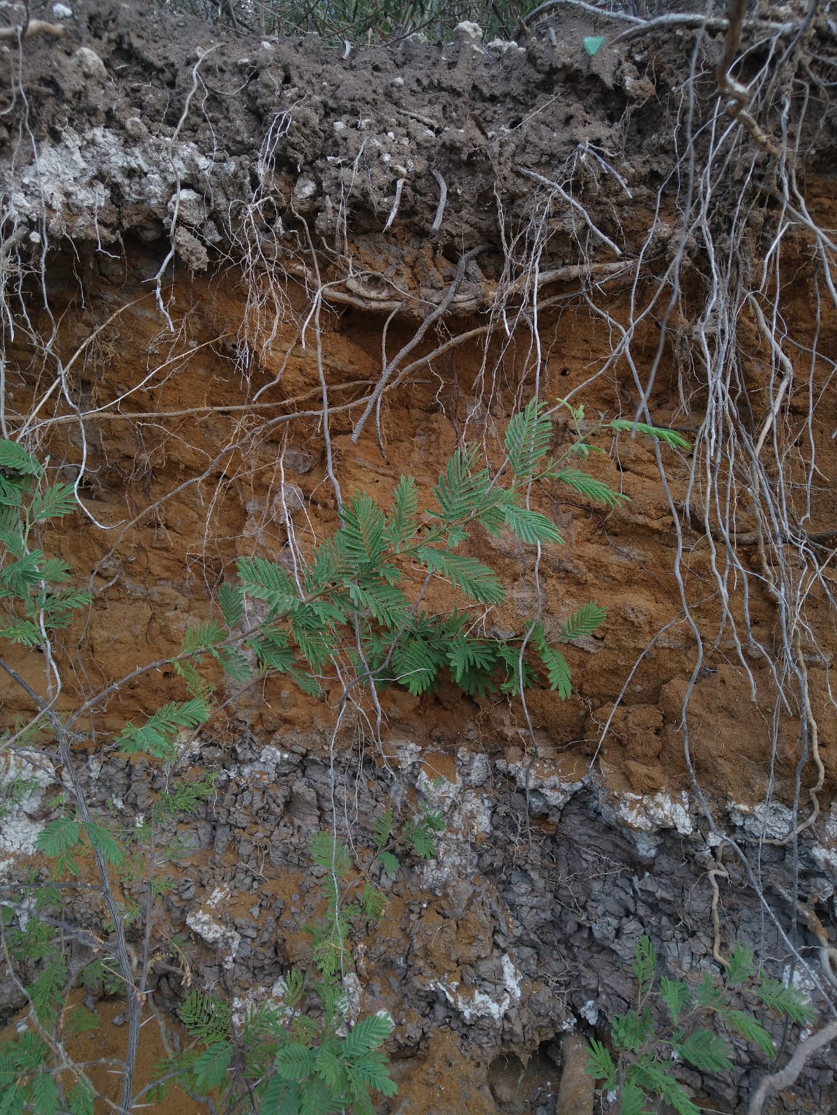 Imagen de WhatsApp 2023 03 19 a las 22.59.32 Imagen de WhatsApp 2023 03 19 a las 22.59.32