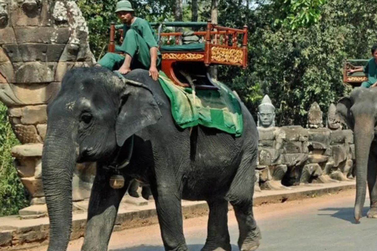 Imagen: ecoosfera.com