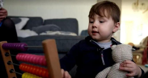 niño teddy superdotado2 niño teddy superdotado2