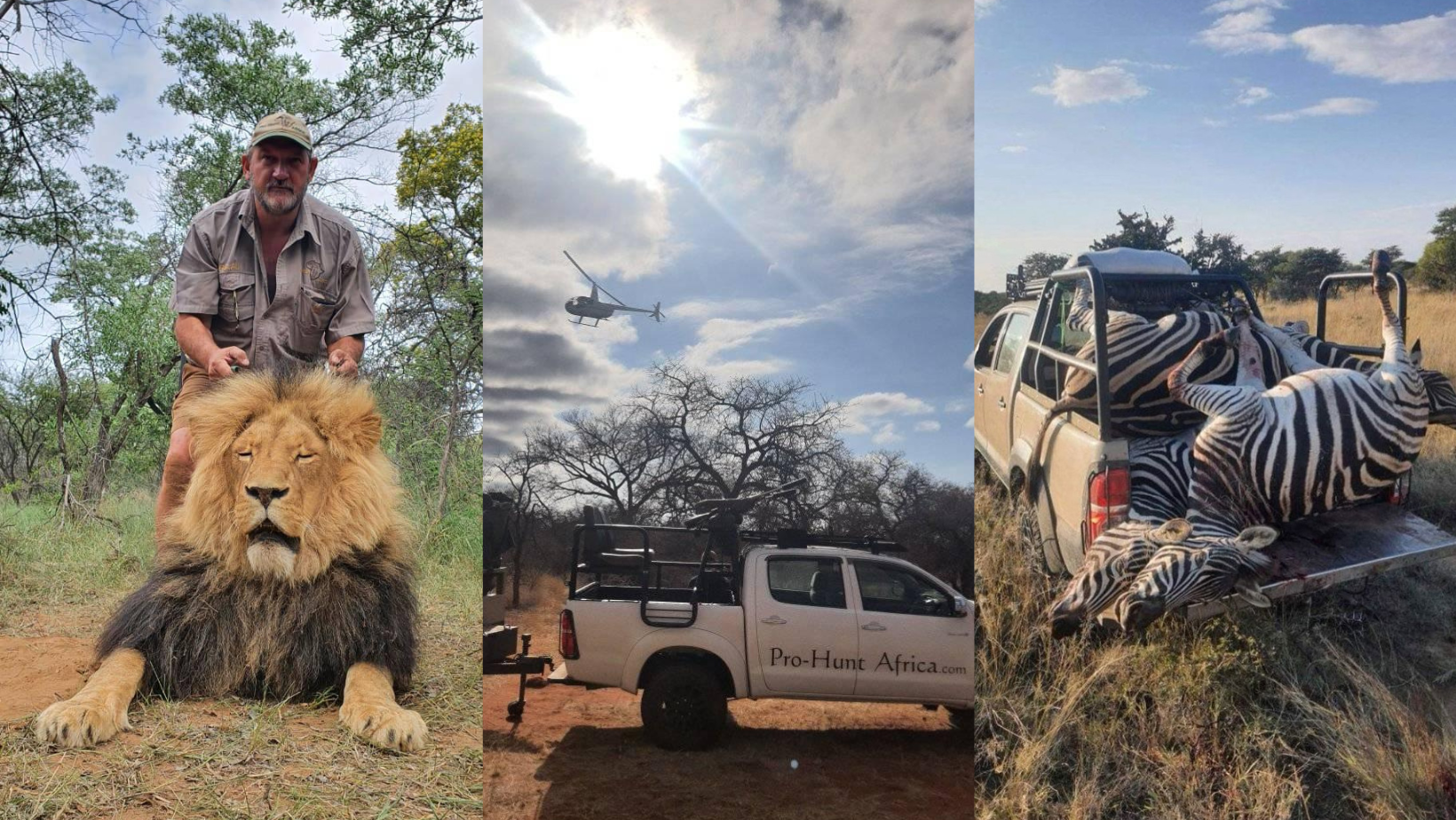 _portada bioguia (3) _portada bioguia (3)