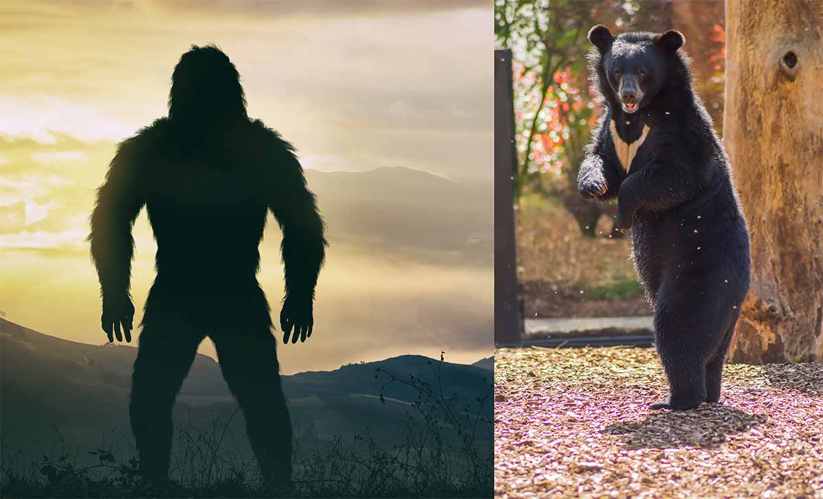 pie grande pie grande