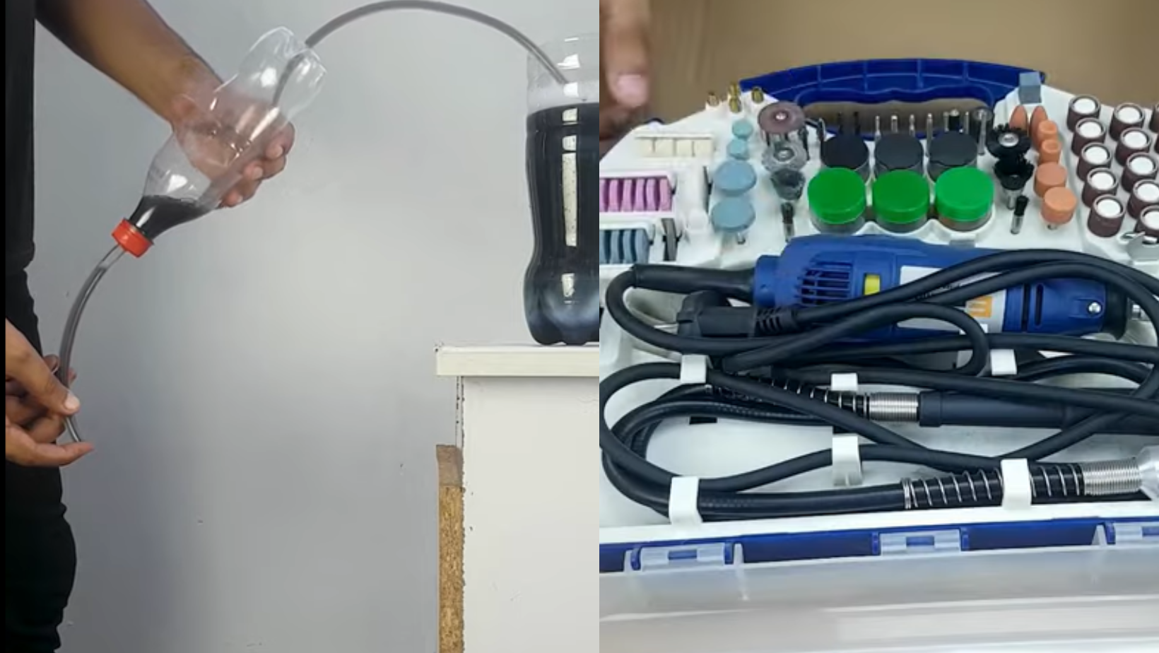 _portada bioguia (55) _portada bioguia (55)