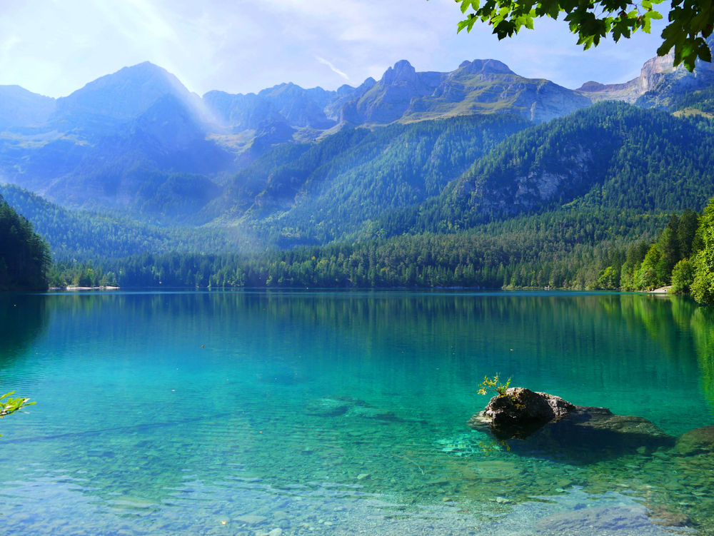 shutterstock_1707382192 shutterstock_1707382192.jpg