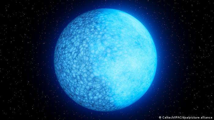 66313550_303 66313550_303