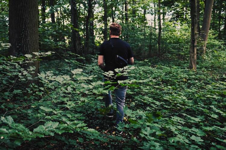 En Escocia recetan caminar por el bosque