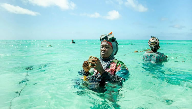 mujeres esponjas zanzibar3