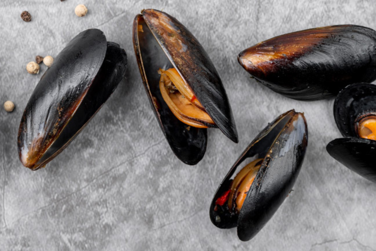 mejillones Teniendo en cuenta lo anterior, podrían convertirse en aliados del futuro médico, aportando desde antibióticos del mar hasta pegamentos para operacion. (Foto: Pinterest)