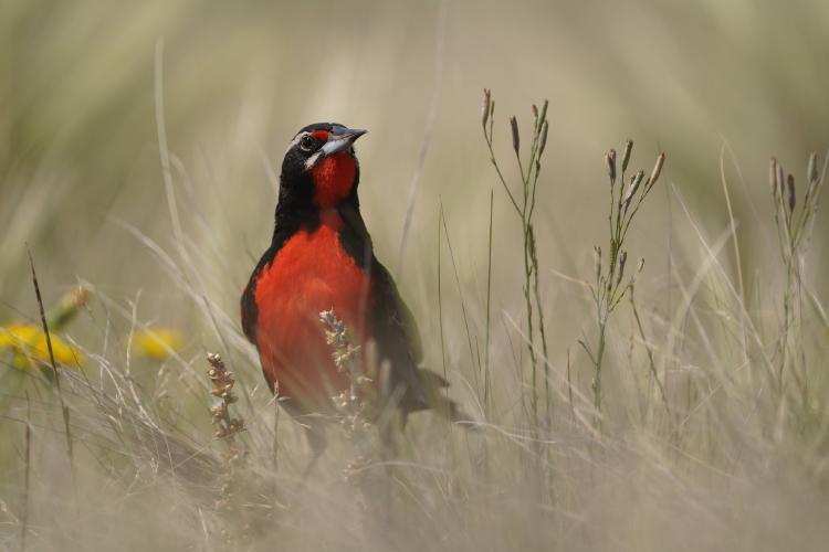 273477675_10159018858877284_74005789901571729_n 273477675_10159018858877284_74005789901571729_n