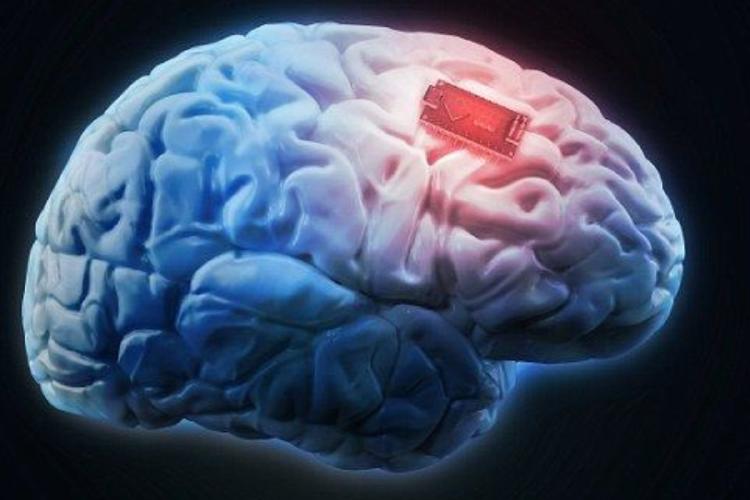 cerebro El estudio implementó una “contraseña mental”: la computadora solo inicia la traducción si el paciente piensa en una palabra secreta conocida solo por él. (Foto: Pinterest)