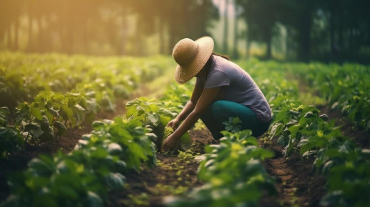 mujer campesina AdobeStock_620648906