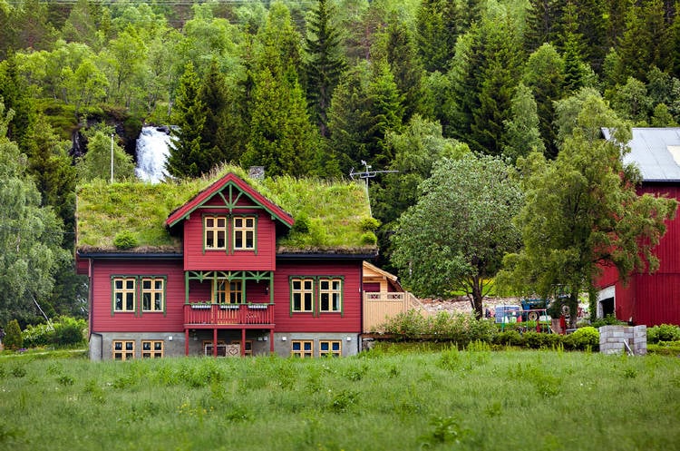 casa con techo verde entre arboles