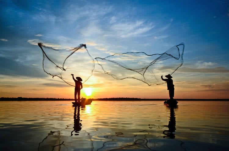 pescado pesca