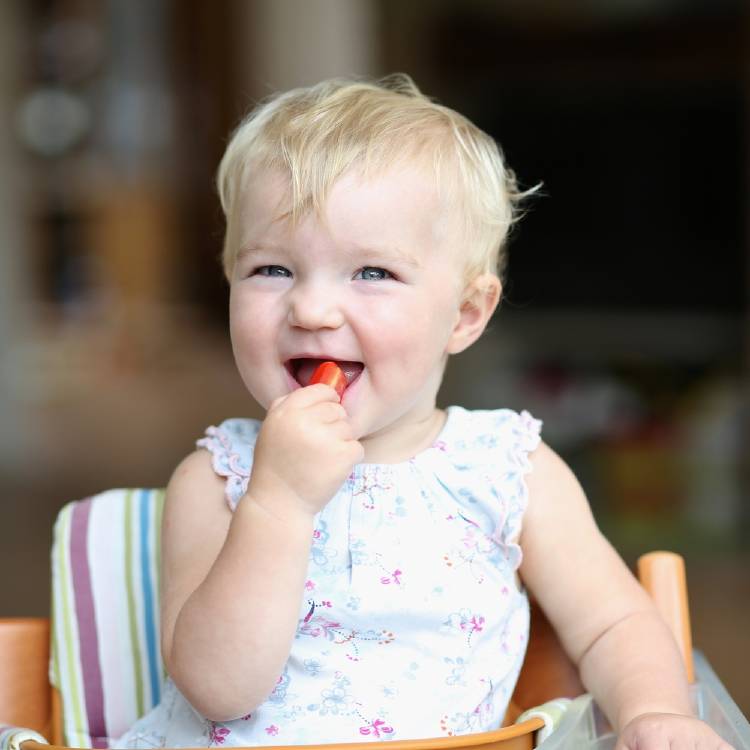 bebe zanahoria Un bebé comiendo una zanahoria