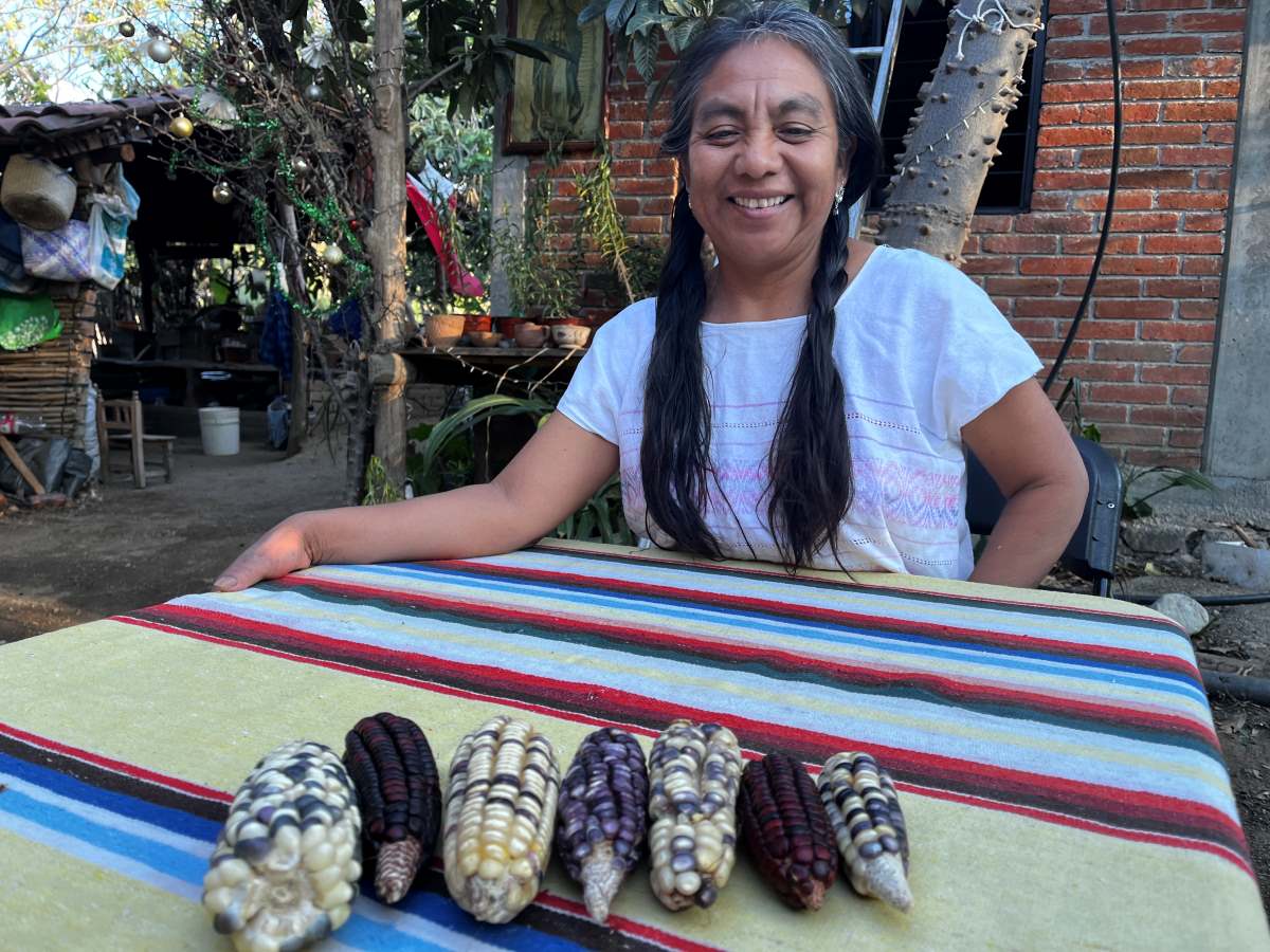 Campesina con maíces nativos