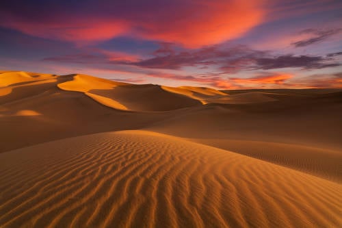 Resultado de imagen de SAHARA Y AMAZONAS