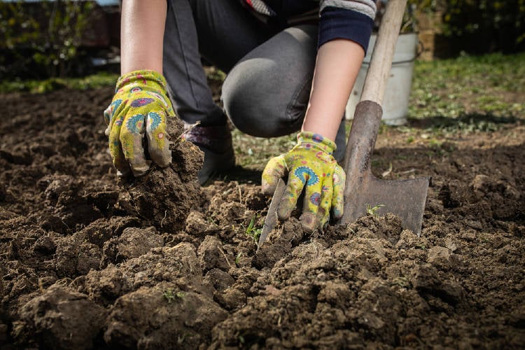 trabajar tierra suelos huerta