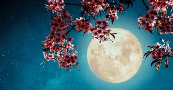 Luna llena de las Flores