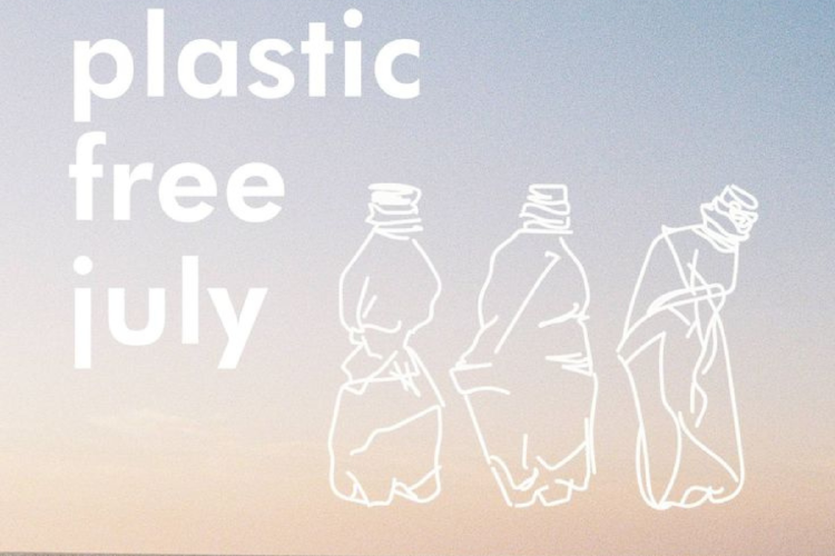free plastic Plastic Free July es una iniciativa que reúne a millones de personas en más de 190 países con un objetivo en común: repensar nuestros hábitos de consumo y reducir el uso de plásticos descartables durante todo el mes de julio. (PINTEREST)