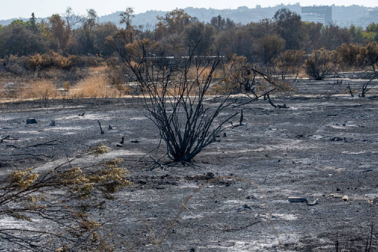 incendio california incendio california