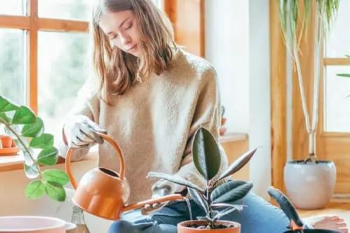 joven con plantas Imagen: Pinterest