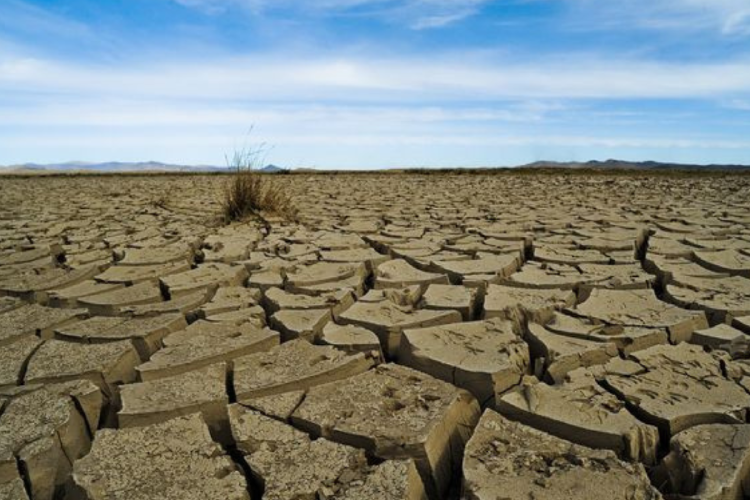 sequia El desplazamiento de aguas cálidas altera la circulación atmosférica y puede desencadenar eventos climáticos extremos en múltiples regiones. (Imagen: Pinterest)