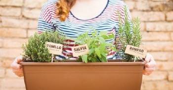 1524400146_archive_7_Razones_por_las_que_tener_una_huerta_es_una_de_las_mejores_cosas_que_te_pueden_pasar 1524400146_archive_7_Razones_por_las_que_tener_una_huerta_es_una_de_las_mejores_cosas_que_te_pueden_pasar