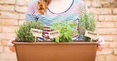 1524400146_archive_7_Razones_por_las_que_tener_una_huerta_es_una_de_las_mejores_cosas_que_te_pueden_pasar 1524400146_archive_7_Razones_por_las_que_tener_una_huerta_es_una_de_las_mejores_cosas_que_te_pueden_pasar