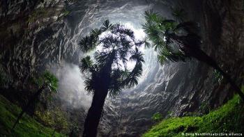 Palmeras en un Tiankeng, o sumidero kárstico gigante, en el pueblo de Luoquanyan, en el condado de Xuan\'en, China.