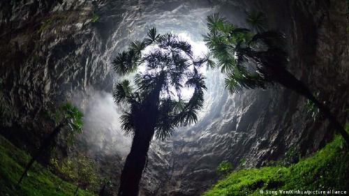 Palmeras dentro de una fosa gigante en China Palmeras en un Tiankeng, o sumidero kárstico gigante, en el pueblo de Luoquanyan, en el condado de Xuan\'en, China.
