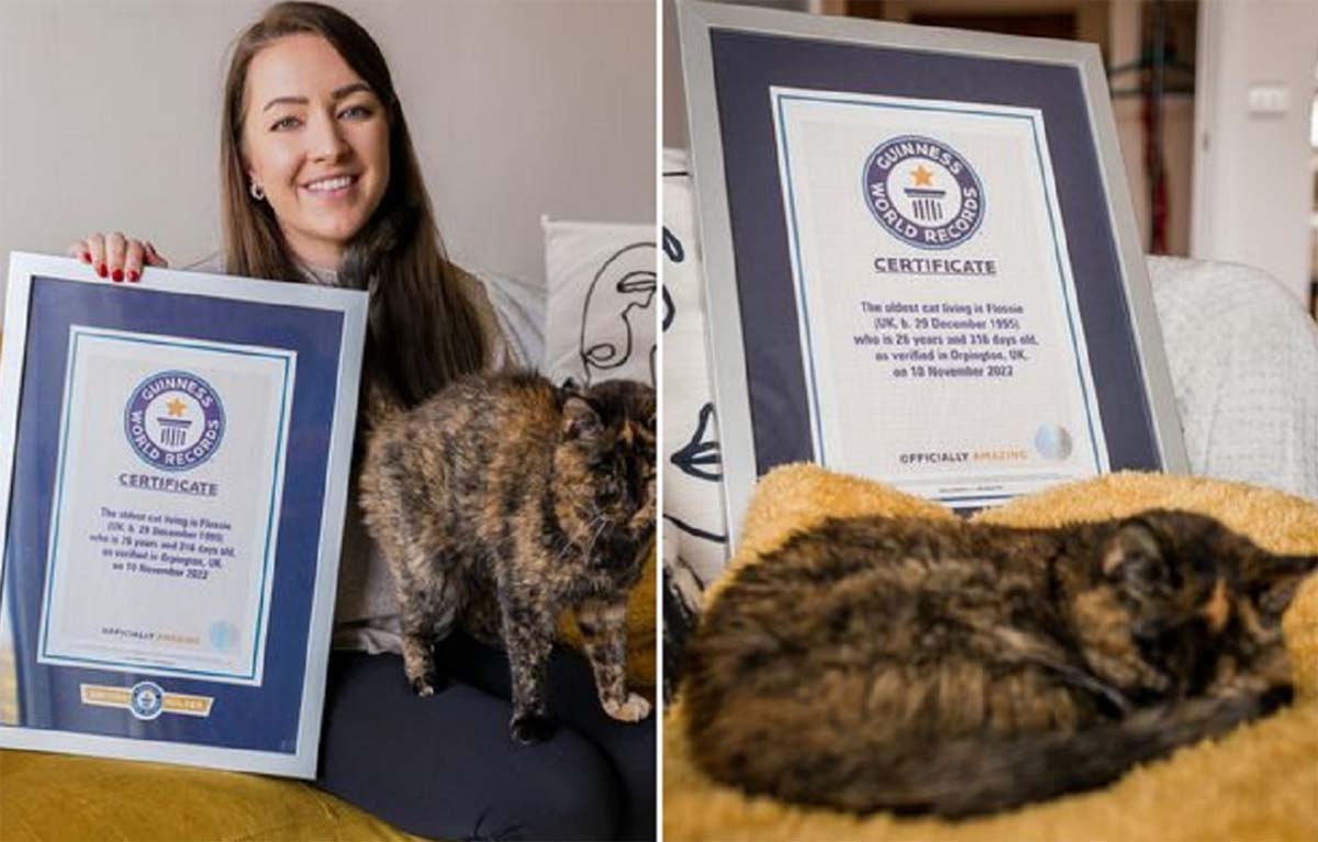 flossie gata3 flossie gata3