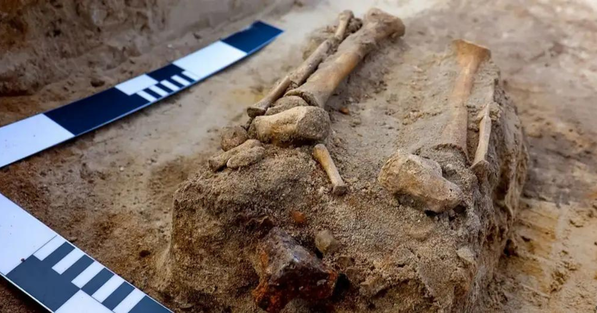 Collage portadas notas(18) Collage portadas notas(18)