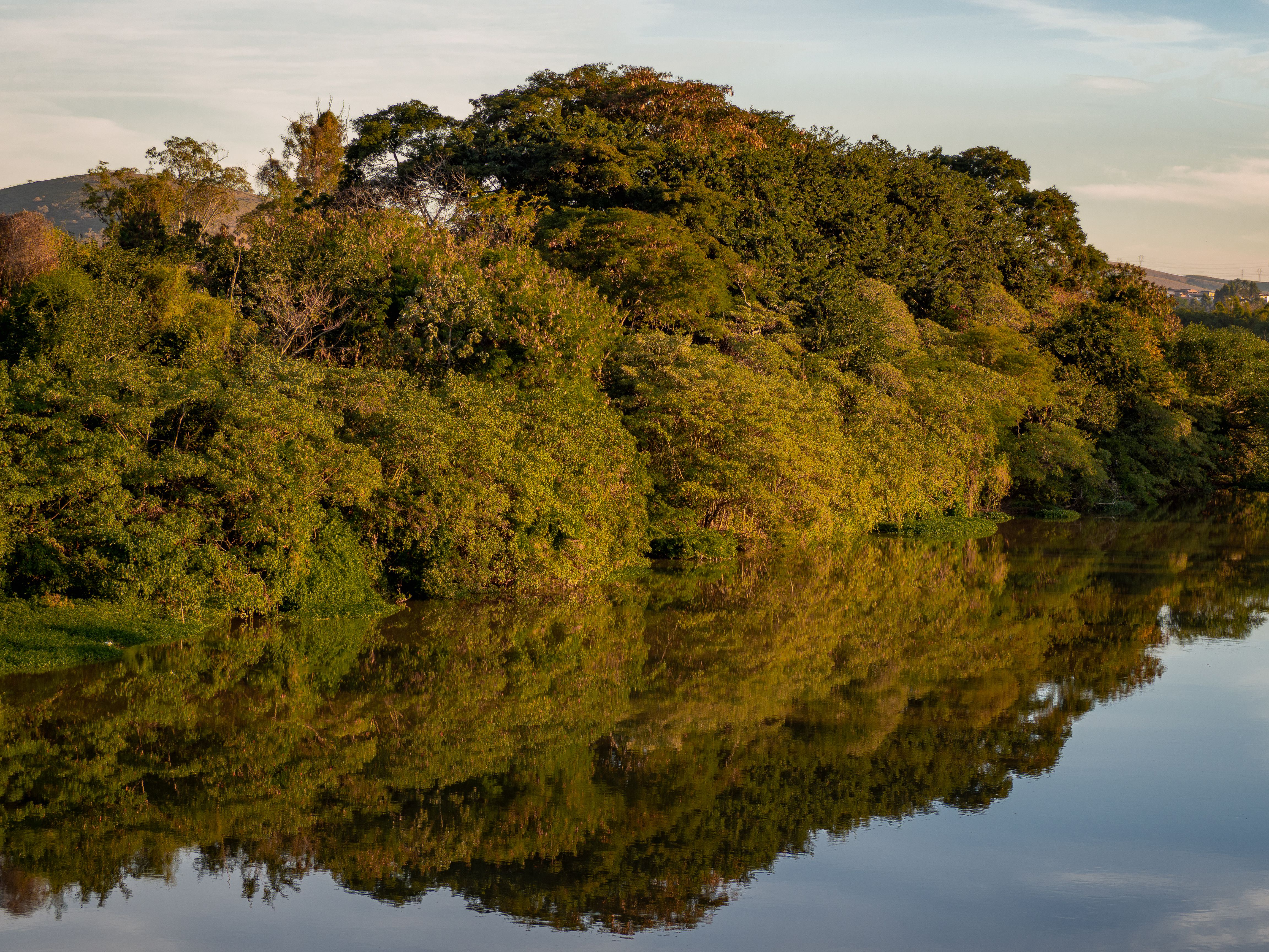 Ciudado del medio ambiente/ Pexels