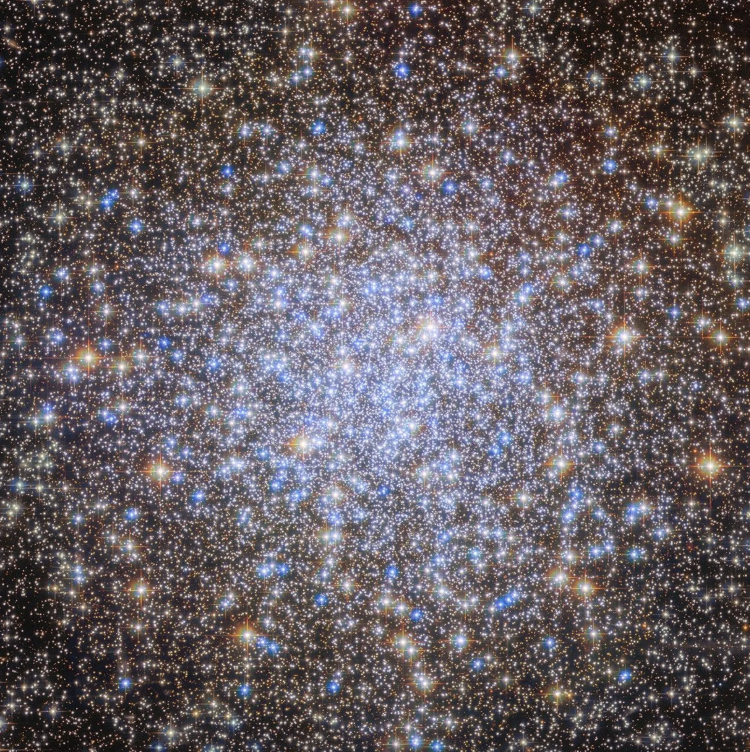 ESA/Hubble & NASA, A. Sarajedini, G. Piotto ESA/Hubble & NASA, A. Sarajedini, G. Piotto