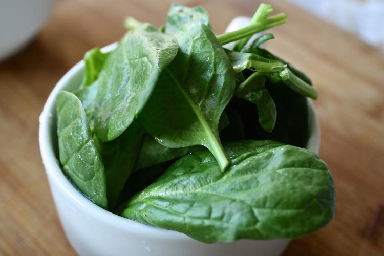espinaca Hojas de espinaca en un recipiente