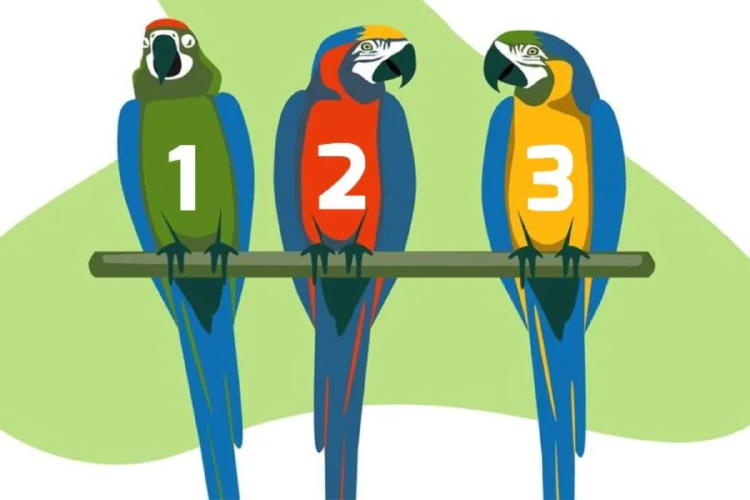 test loros Para que este test de personalidad funcione al 100%, no intentes descubrir lo que puede significar el ave que elijas. ¡Déjate llevar por la intuición!