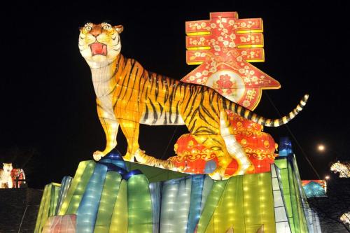 año del tigre de agua año del tigre de agua