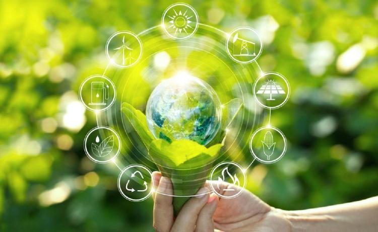 sustentable-comunicación sustentable-comunicación