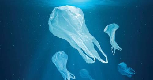 7 alternativas para reducir la basura plástica que llega a los océanos