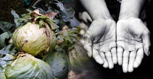 Tiraron 1,600 millones de toneladas de comida a la basura sin darse cuenta: ¿cómo pudo ser?