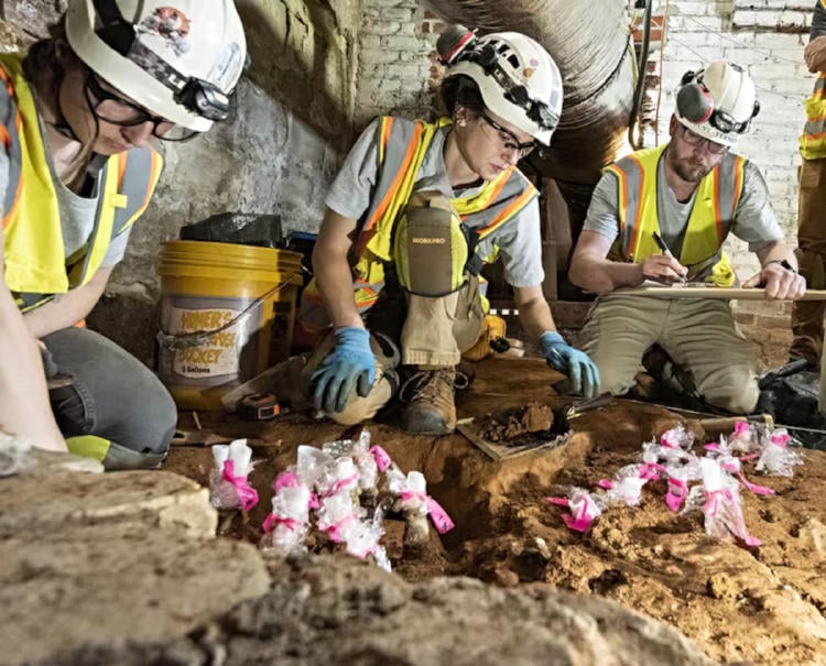 botellas cerezas washington3 botellas cerezas washington3