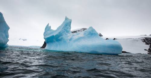 Creyeron que era una foca en un iceberg, pero se sorprendieron al descubrir la realidad