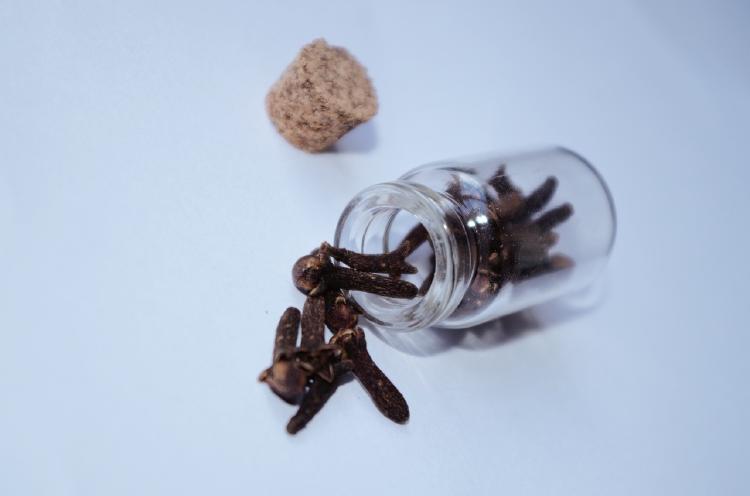clavos de olor clavos de olor