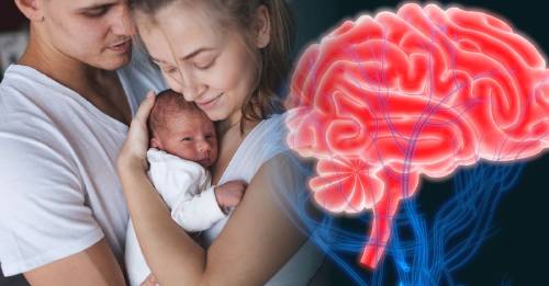 Un asombroso descubrimiento sobre la relación de los recién nacidos con el lenguaje