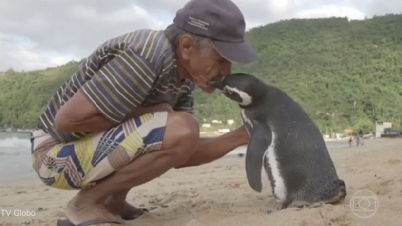 playa linda playa linda