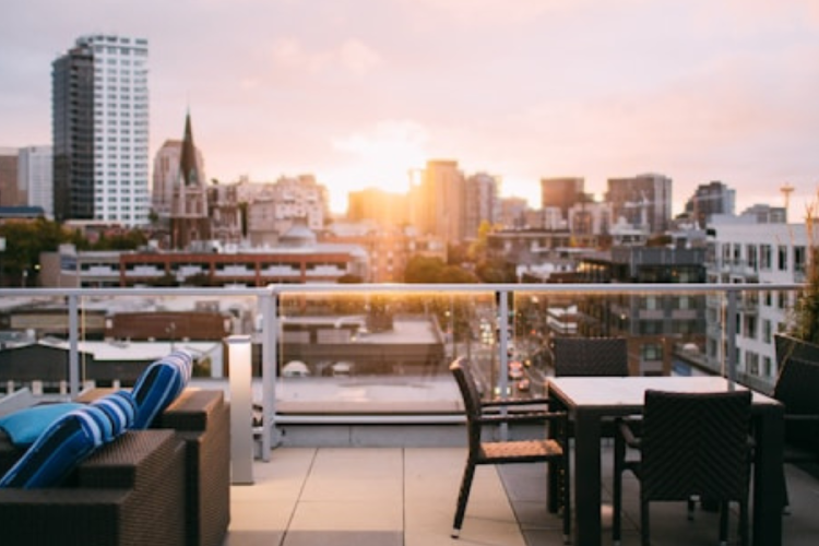 portaldelcampo.cl portaldelcampo.cl